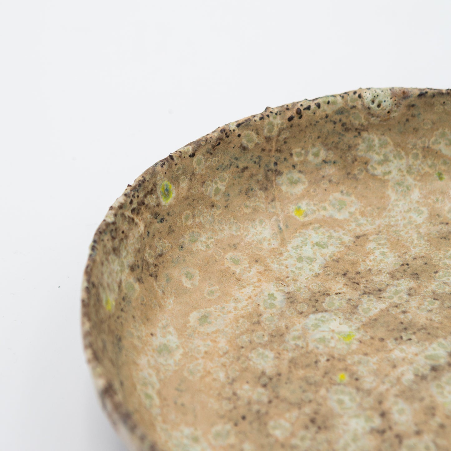 Louve Ceramics | Shallow Bowls