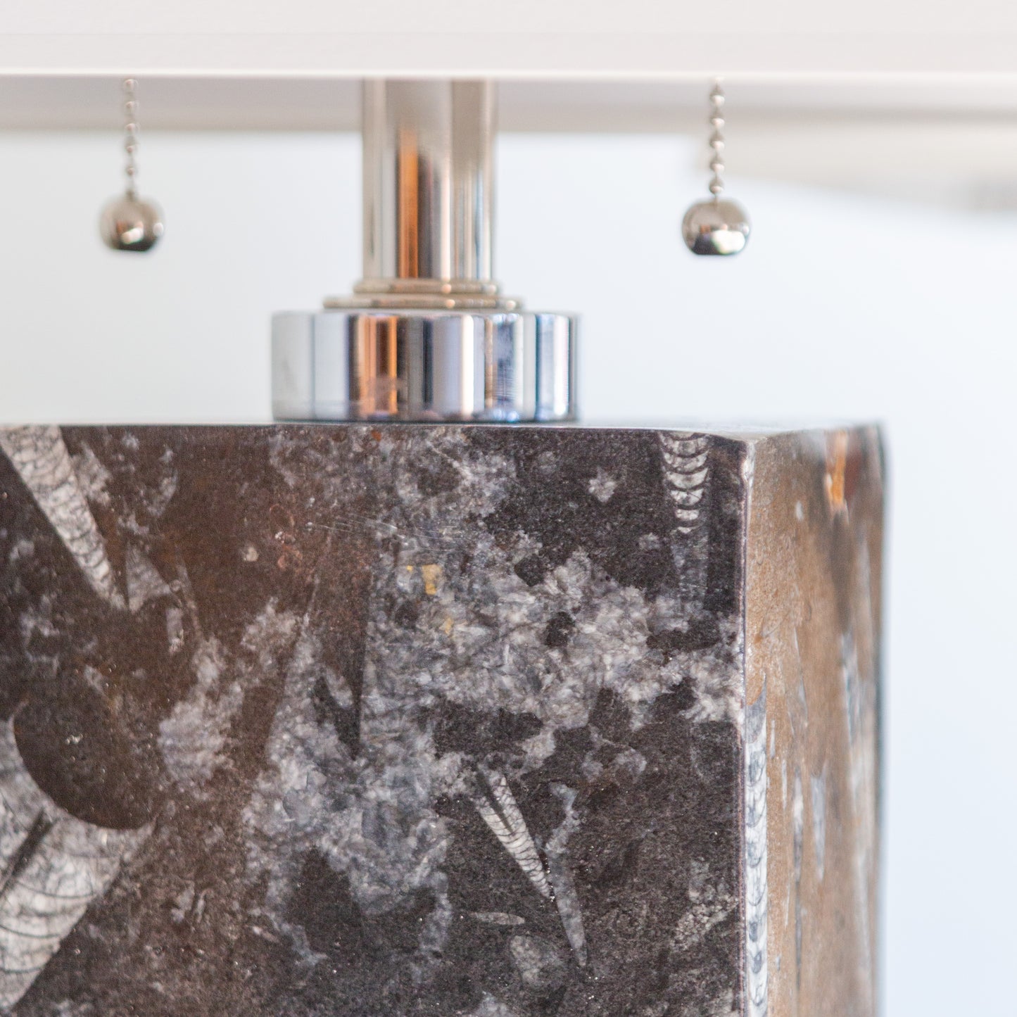 Fossilized Base Table Lamps