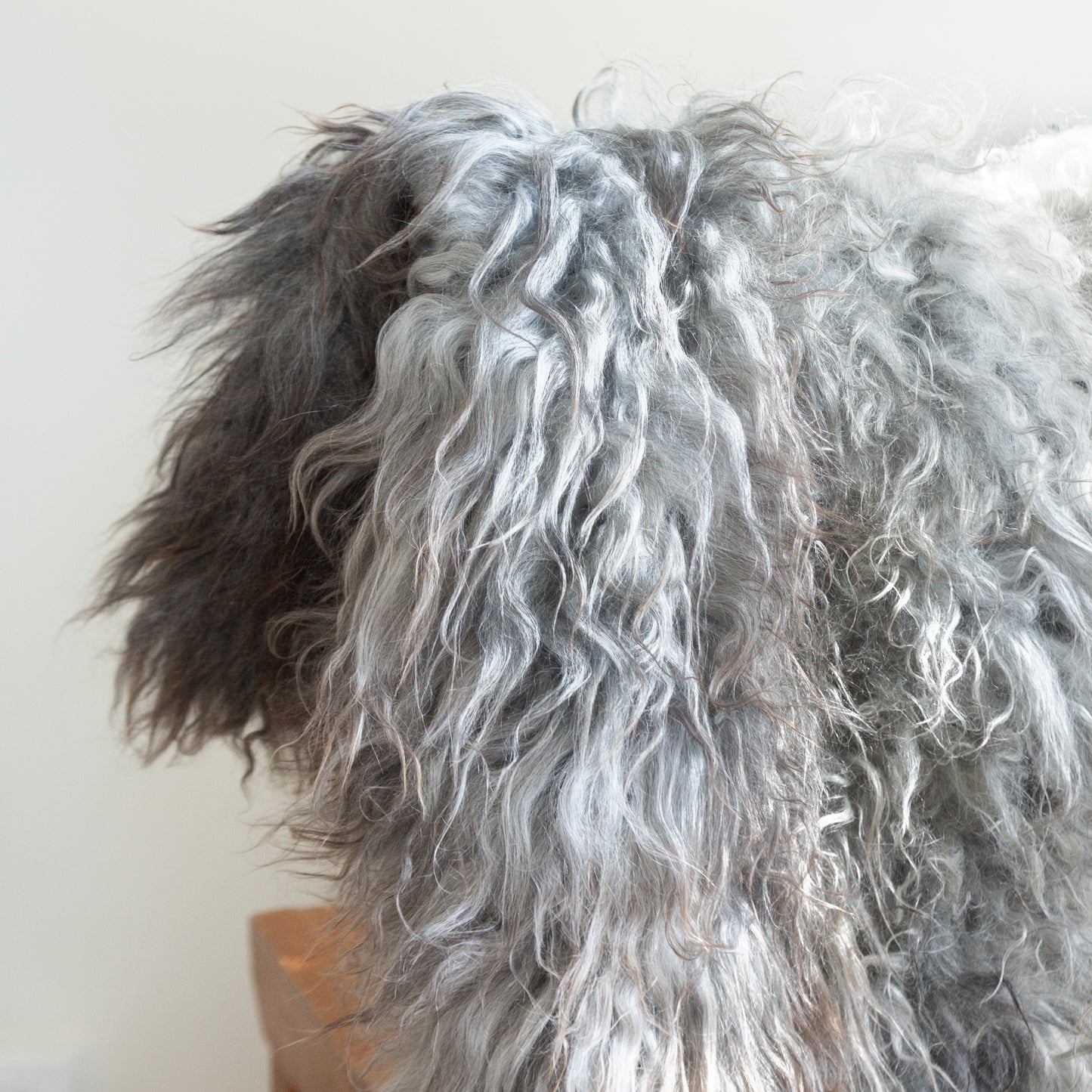 Pelssau Sheepskin Single