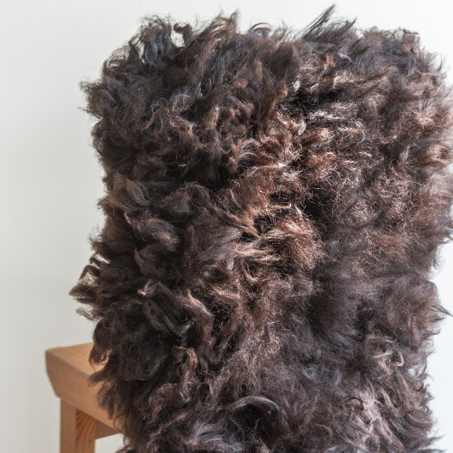 Scottish 'Blackie Brown' Sheepskin
