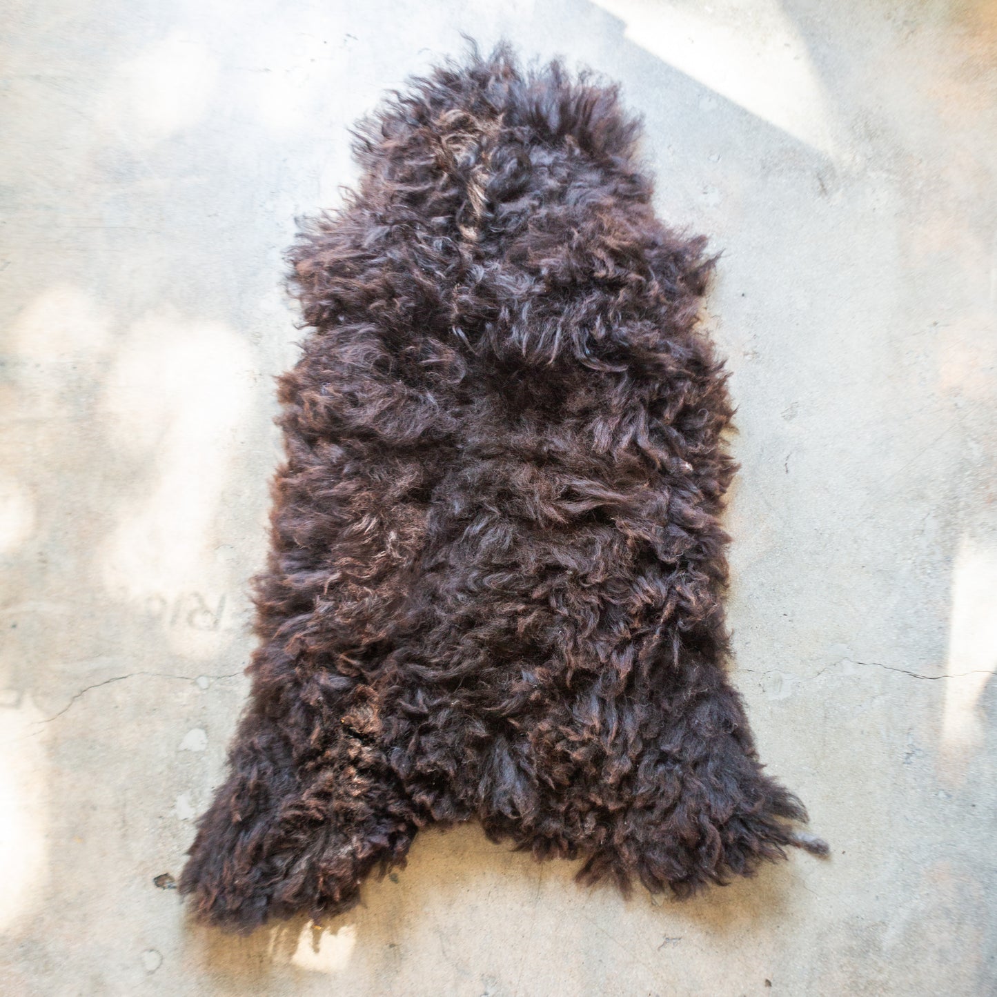Scottish 'Blackie Brown' Sheepskin