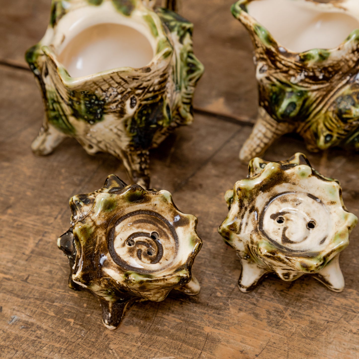 Majolica Porcelain Conch Set