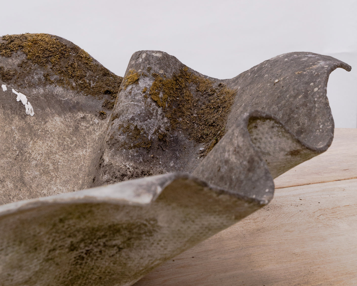 Willy Guhl | 'Handkerchief' Concrete Planter