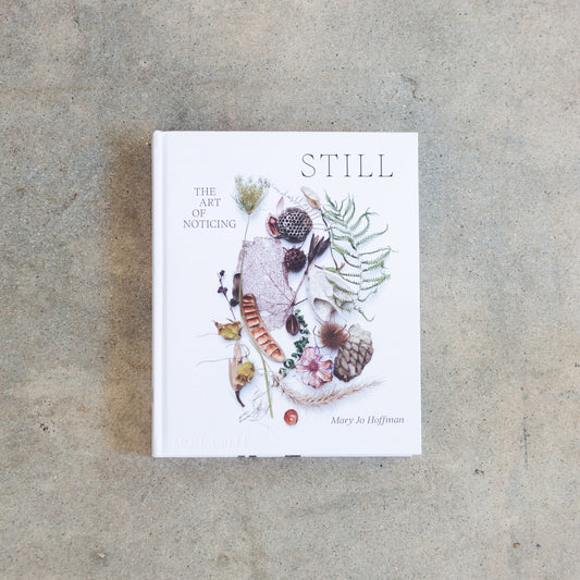 Still: The Art of Noticing