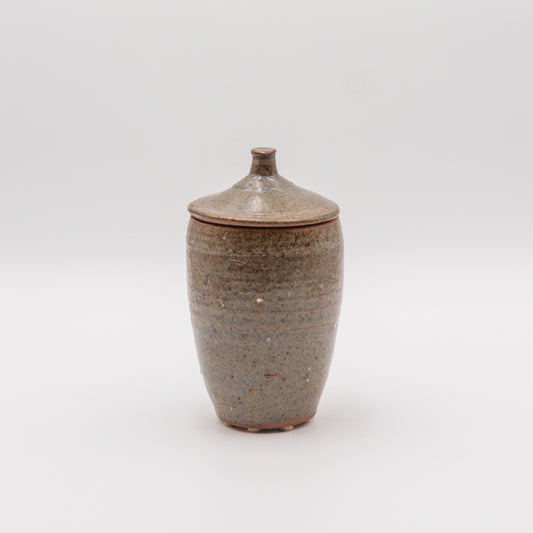 Mitsuko Ikeno | Speckle Tone Lidded Vessel