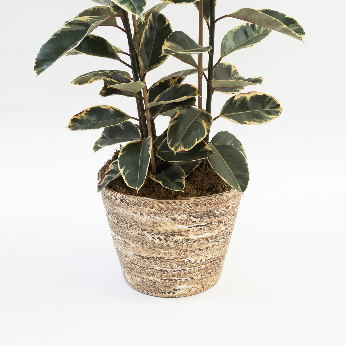 Hyunuko | V-Shaped Mongi Planter