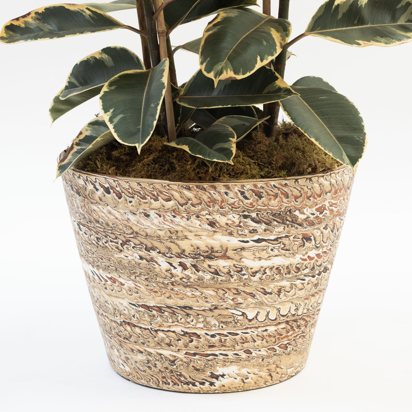 Hyunuko | V-Shaped Mongi Planter