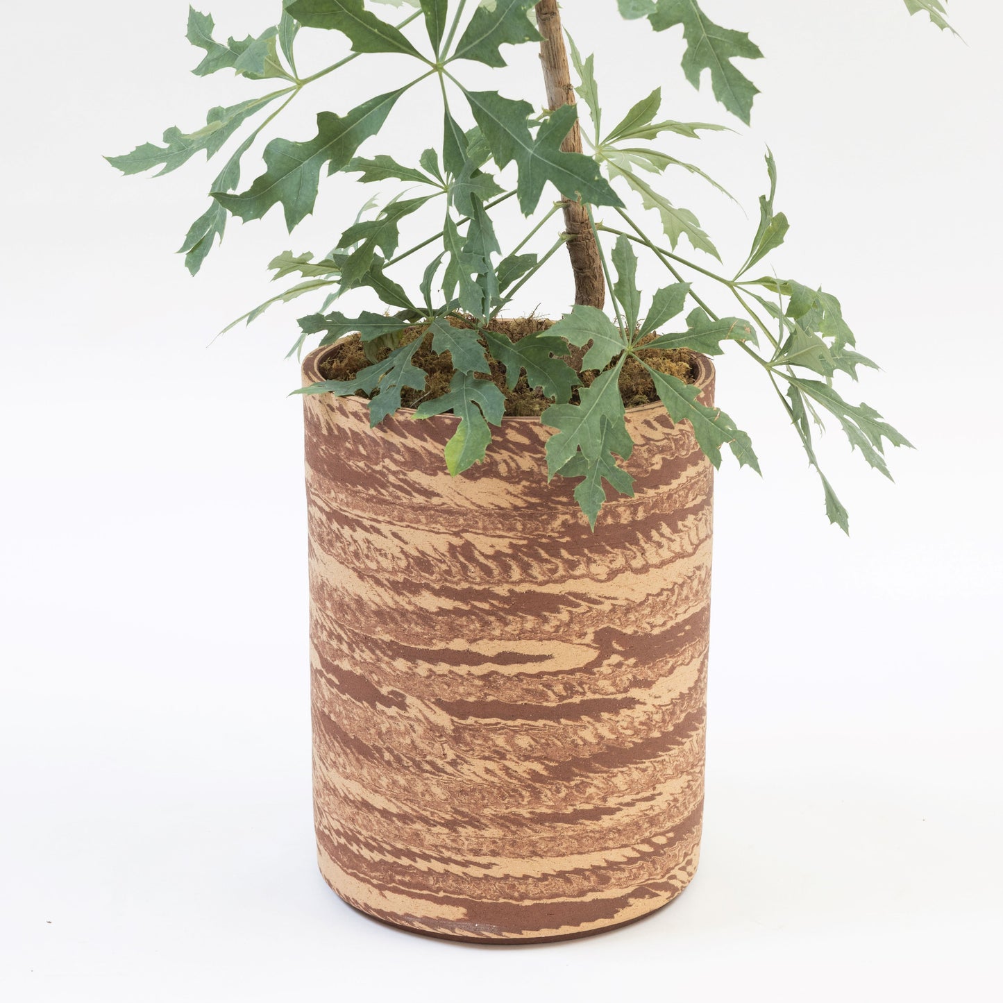 Hyunuko | Big Mongi Planter