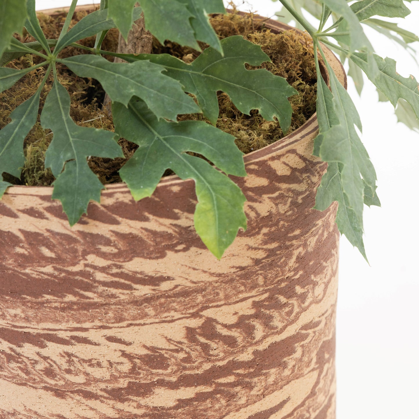 Hyunuko | Big Mongi Planter