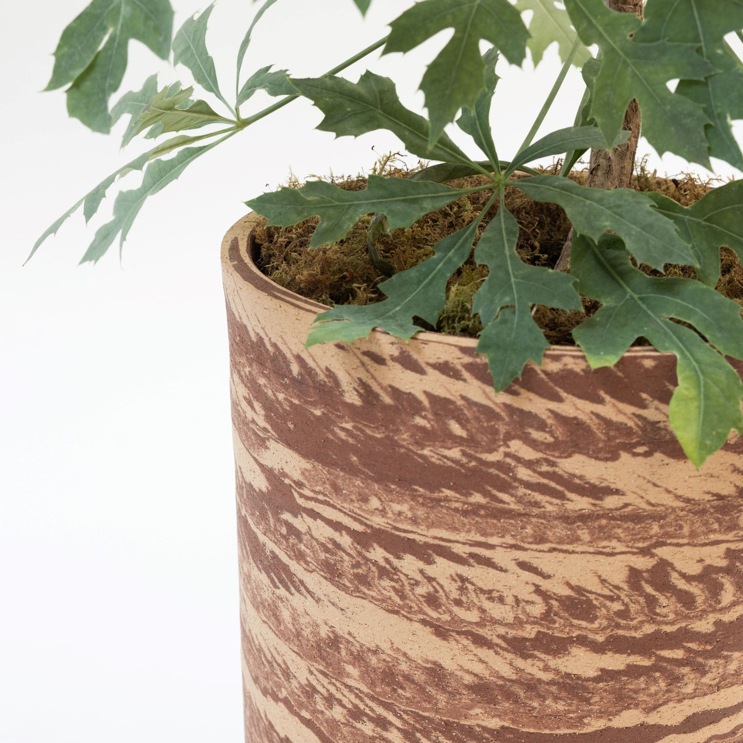 Hyunuko | Big Mongi Planter