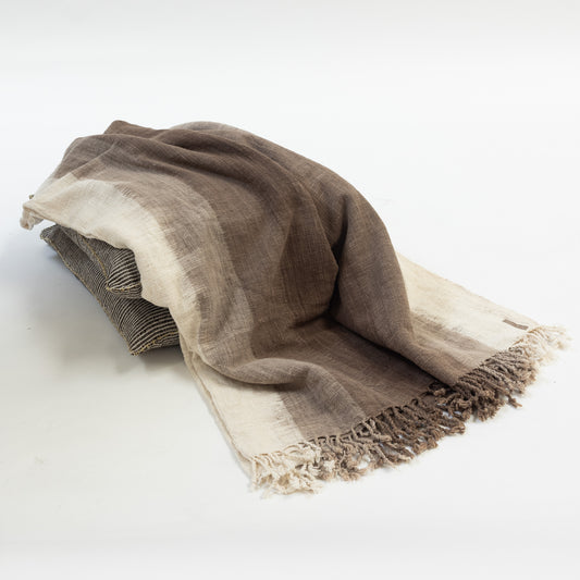 Ombre Stripe Throw